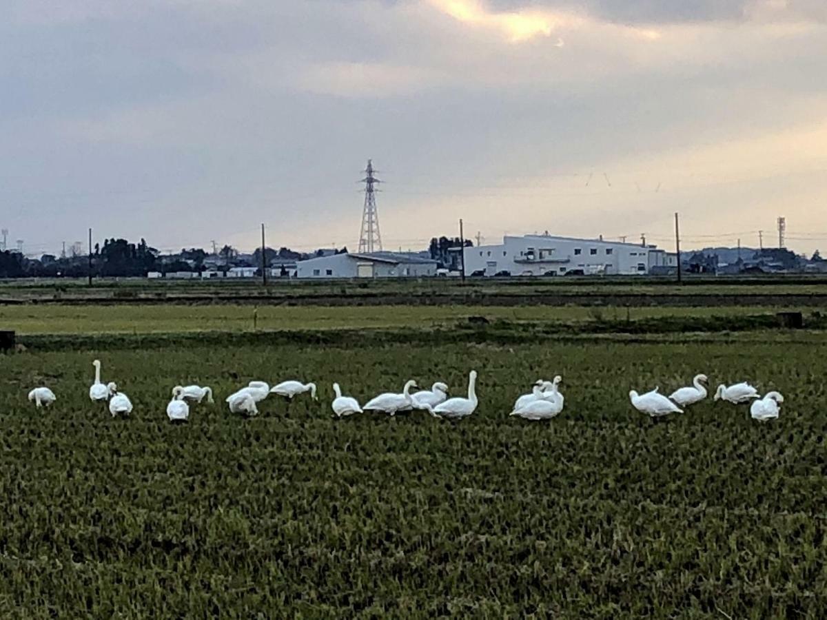 Iwamuro Slow Hostel Niigata Bagian luar foto